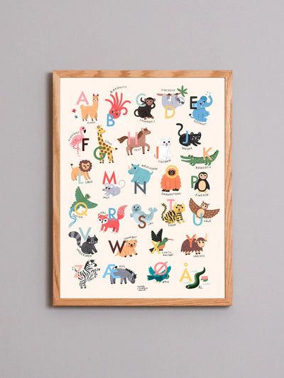 ABC | Michelle Carlslund